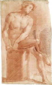 A Seated Male Nude, His Legs Crossed by Vincenzo Dandini
