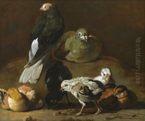 A Still Life With A Couple Of Pigeons Nesting And Preening Together With Four Chicks