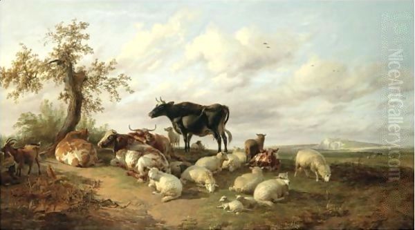 Cattle, Sheep And Goats In A Canterbury Meadow - view 1