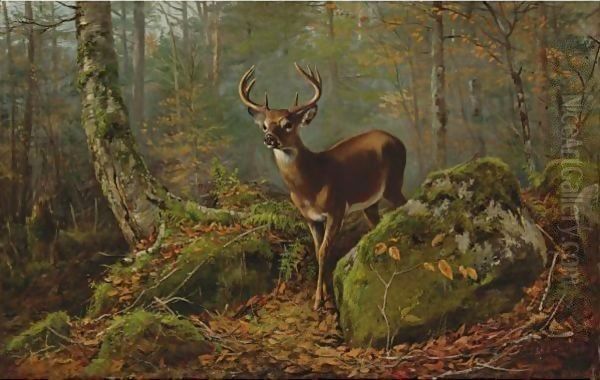 Buck In The Forest - view 1