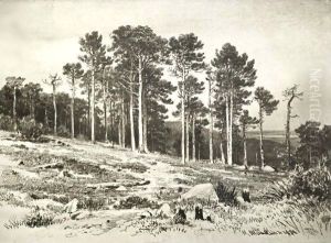 Pinewoods by Ivan Shishkin