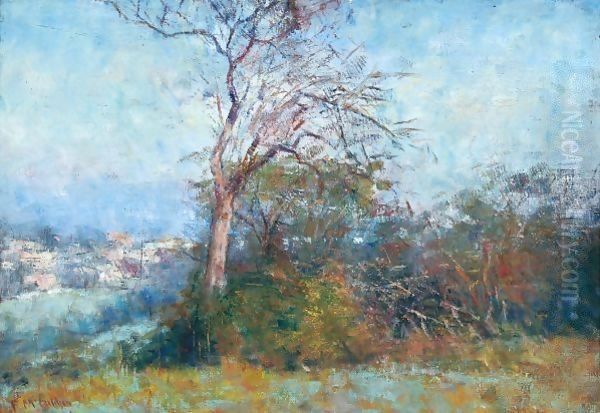 Autumn Afternoon - view 1