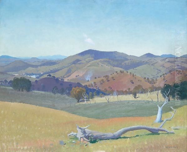 Landscape Near Yass - view 1