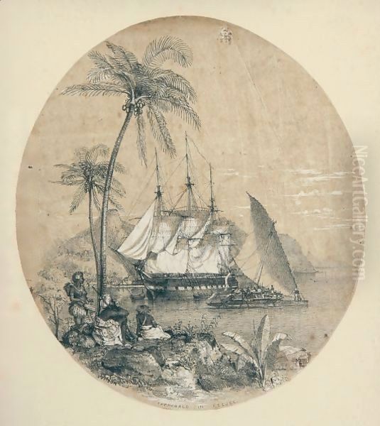 The 'Herald' In Feejee - view 1