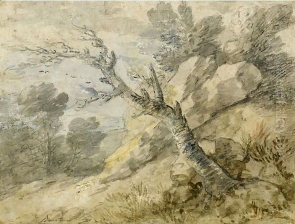 Wooded Landscape With Rocks And Tree Stump - view 1