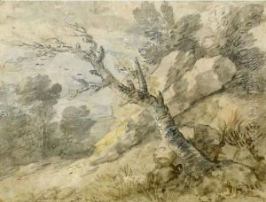 Wooded Landscape With Rocks And Tree Stump