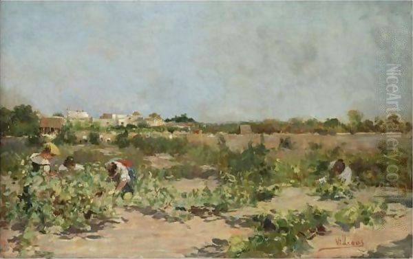 La Cosecha (The Harvest) - view 1