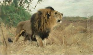 Beberlowe (Berber Lion) by Wilhelm Kuhnert