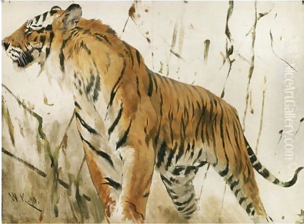 Study Of A Tiger - view 1