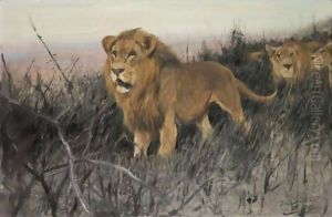 Lowen In Verbrannter Steppe (Lions In A Burnt Steppe)