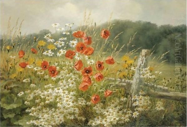 Poppies And Daisies - view 1
