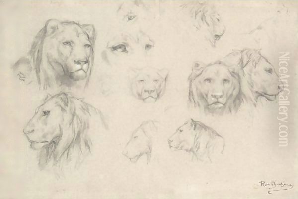 Study Of Lions And Lionesses - view 1