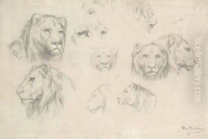 Study Of Lions And Lionesses by Rosa Bonheur