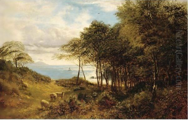 Sheep Grazing By The Sea - view 1