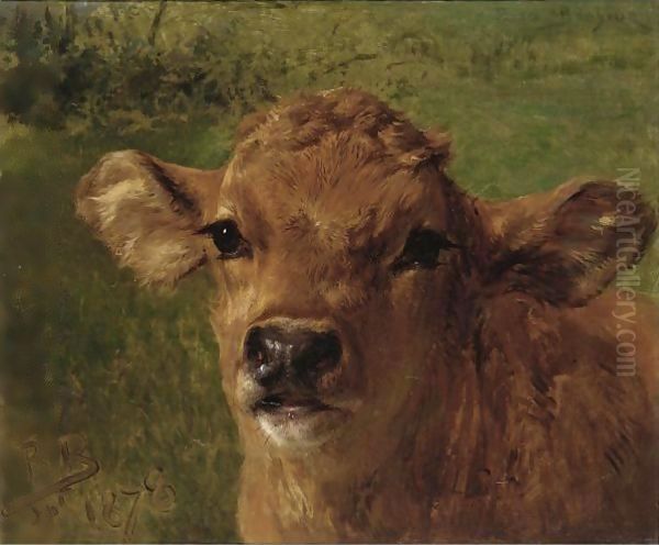 Head Of A Calf - view 1