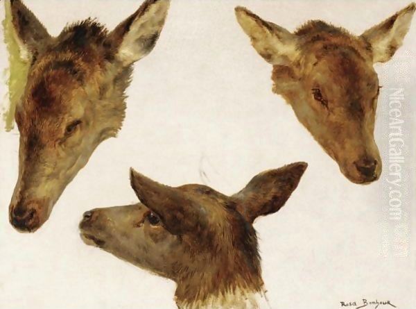 Study Of Deer Heads - view 1