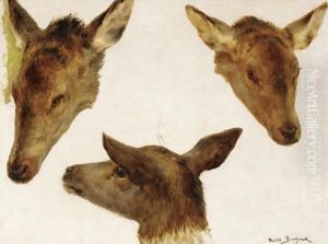 Study Of Deer Heads by Rosa Bonheur