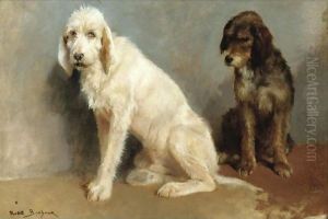 Study Of Two Dogs by Rosa Bonheur