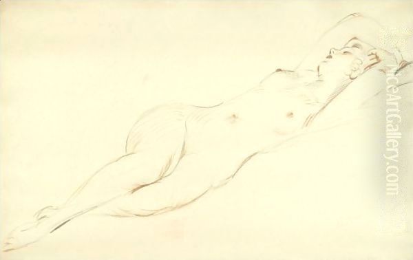 Nu Endormi - view 1