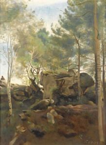 Fontainebleau. Pins Et Bouleaux Dans Les Rochers