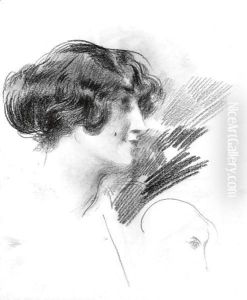 Daisy Fellowes