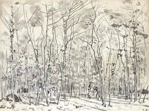 Drawing For 'The Beech Grove'