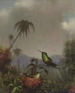 Two Thorn-Tails (Langsdorffs Thorn-Tail, Brazil) by Martin Johnson Heade