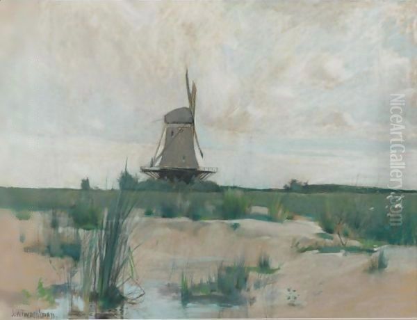 The Windmill - view 1
