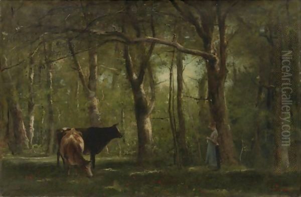 Woodland Interior - view 1