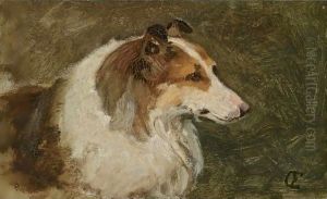 A Scottish Collie by Otto Eerelman