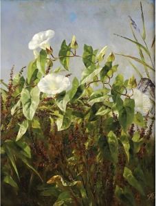 Morning Glories by Anthonore Christensen