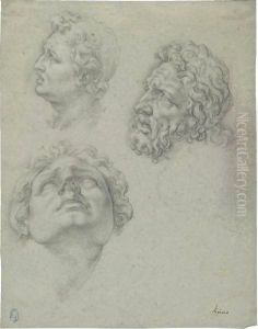 Studies Of Heads After The Laocoon by Giovanni Ambrogio Figino