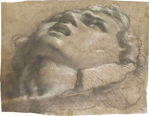 Study Of The Head Of A Young Man - view 1
