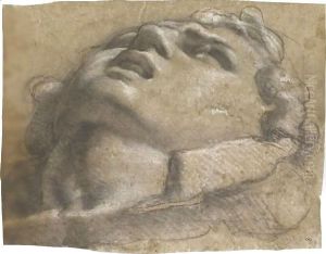 Study Of The Head Of A Young Man by Annibale Carracci