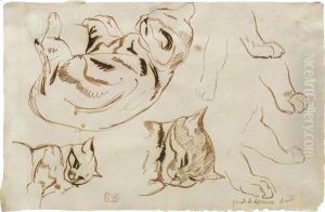 Sheet Of Studies Of A Sleeping Cat