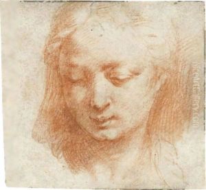 The Head Of A Woman, Looking Down To The Left by Girolamo Francesco Maria Mazzola (Parmigianino)