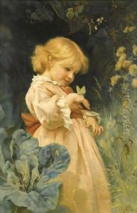 The Butterfly