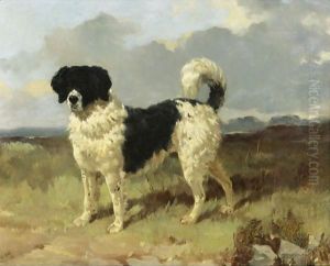 A Newfoundland Landseer In A Landscape