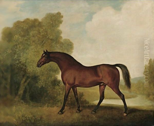 Ambrosio, A Bay Stallion, The Property Of Thomas Haworth - view 1