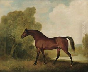 Ambrosio, A Bay Stallion, The Property Of Thomas Haworth by George Stubbs