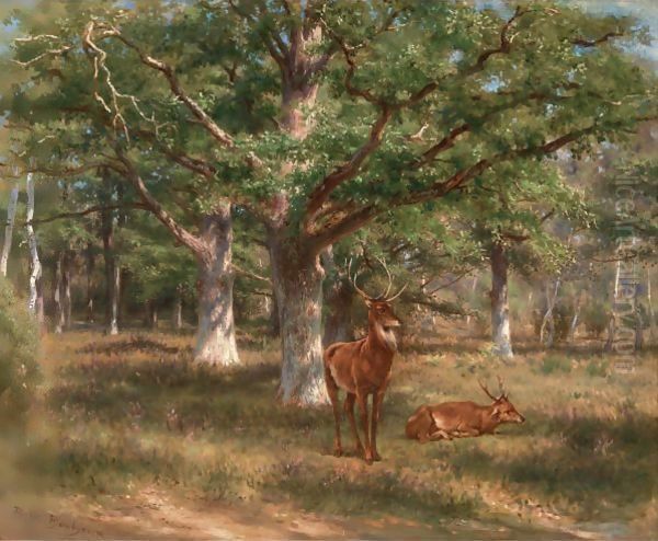 Two Deer In A Forest Glade - view 1
