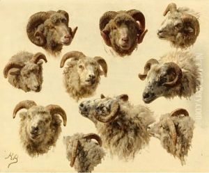 Study Of Rams' Heads by Rosa Bonheur