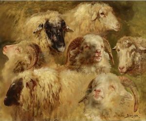 Heads Of Sheep And Rams by Rosa Bonheur