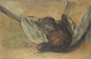 A Cock Pheasant by David Cox