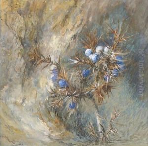 Juniper by John Ruskin