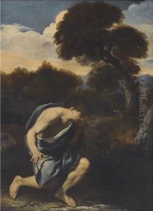 Narcissus by Pier Francesco Mola