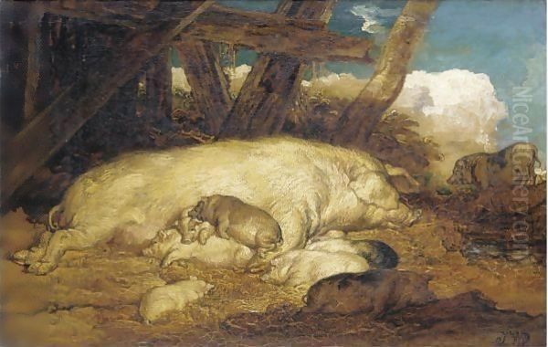A Sow With Piglets - view 1