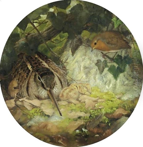 A Woodcock With Its Young And A Robin - view 1