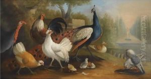A Peacock, A Turkey, Chickens And Doves In A Garden Setting