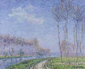Arbres Au Bord De Riviere